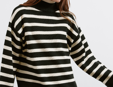 Albaray Black Stripe Turtle Neck 1