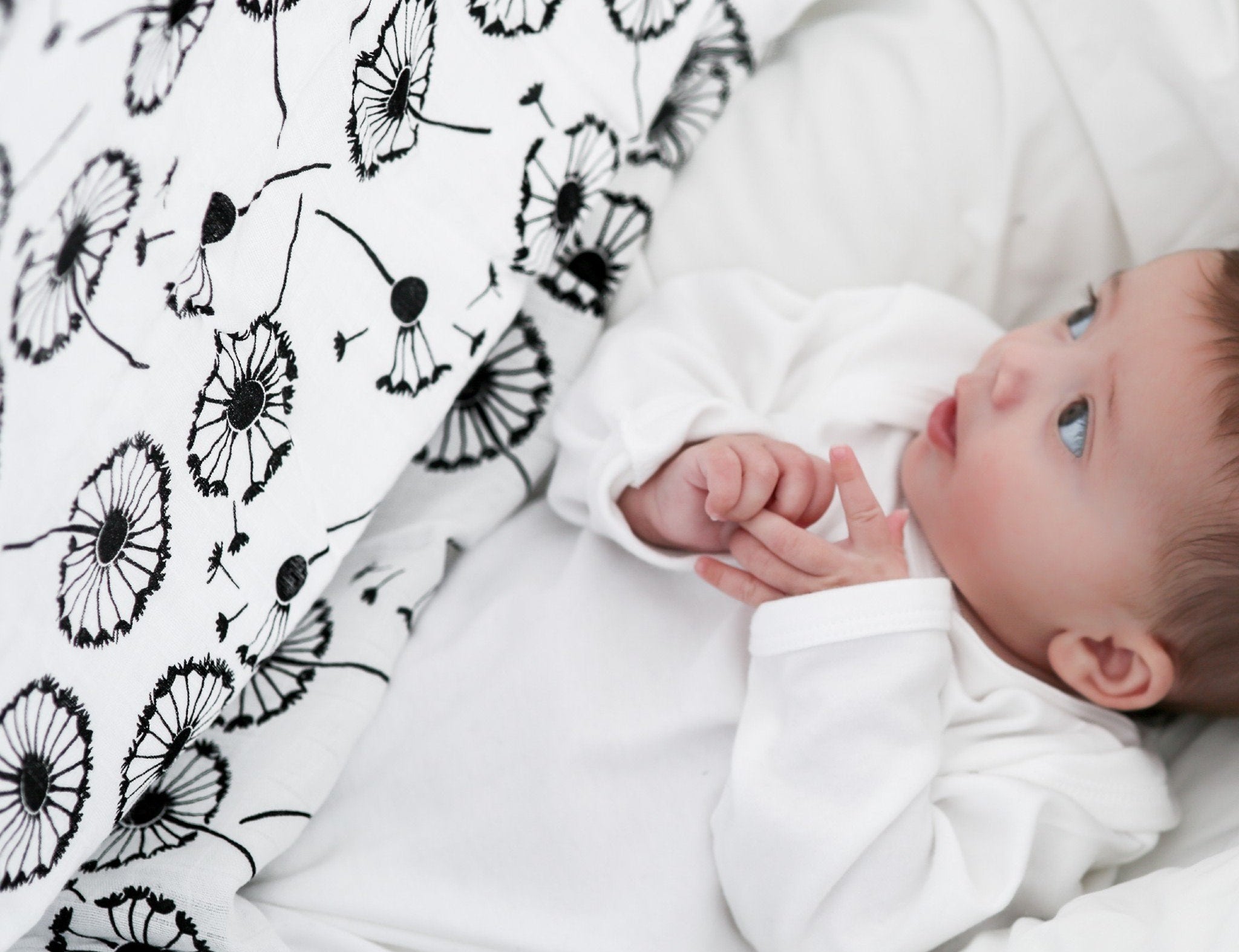 Etta Loves XL DANDELION MUSLIN - For Newborn to 4 Months Old Babies 2