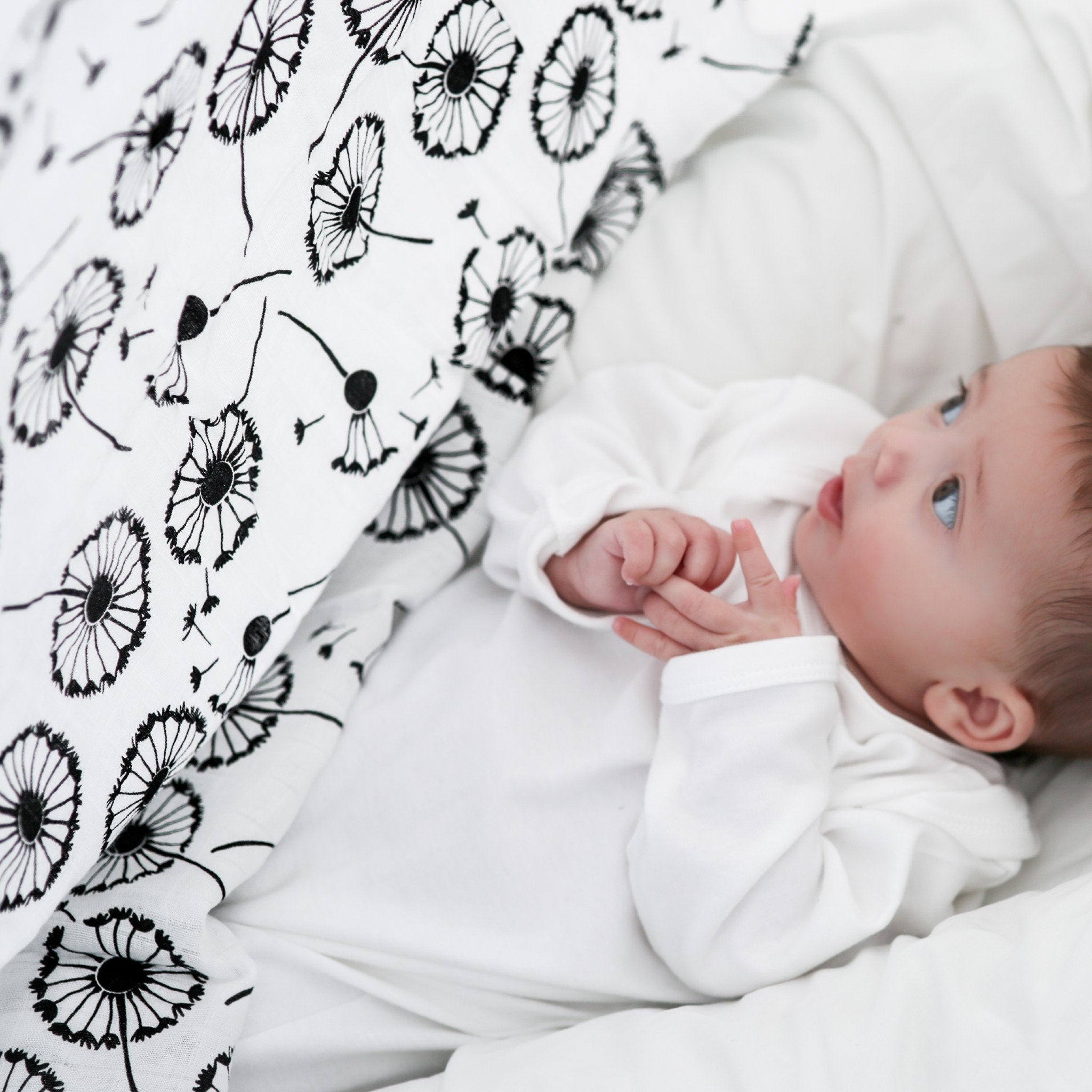 Etta Loves XL DANDELION MUSLIN - For Newborn to 4 Months Old Babies 2