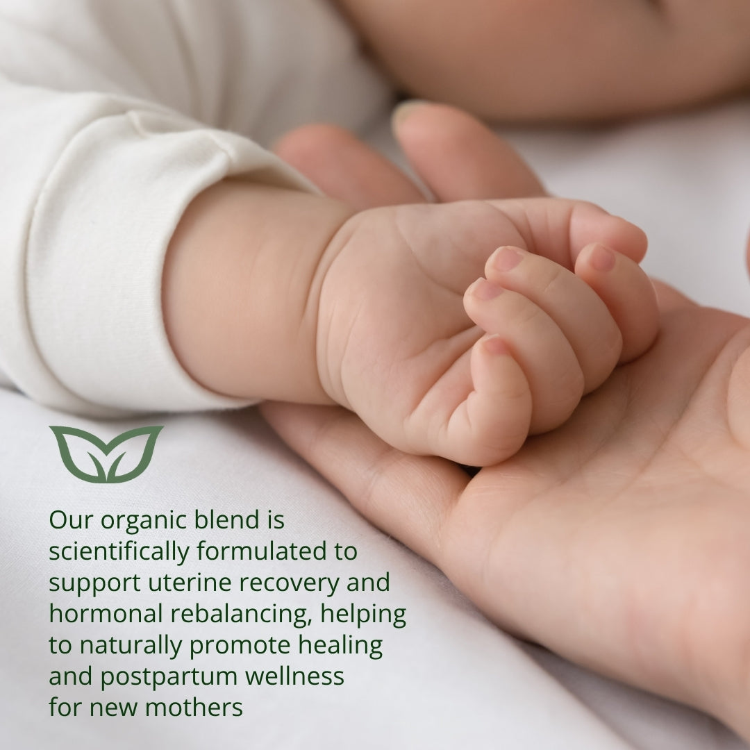 Myrtle and Maude Organic Postpartum Recovery Tea 3