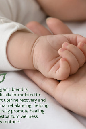 Myrtle and Maude Organic Postpartum Recovery Tea 3