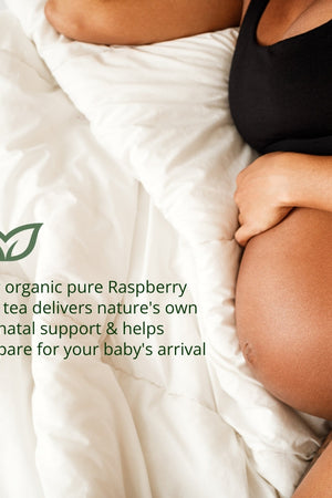 Myrtle and Maude Organic Raspberry Leaf Tea 3