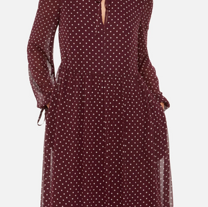 Whistles Spot Print Trapeze Midi Dress - Burgundy/ Multi 4