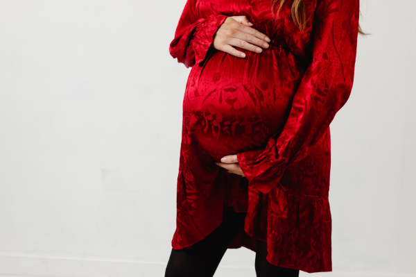 Lyla and Leche Crimson Mini Dress 1