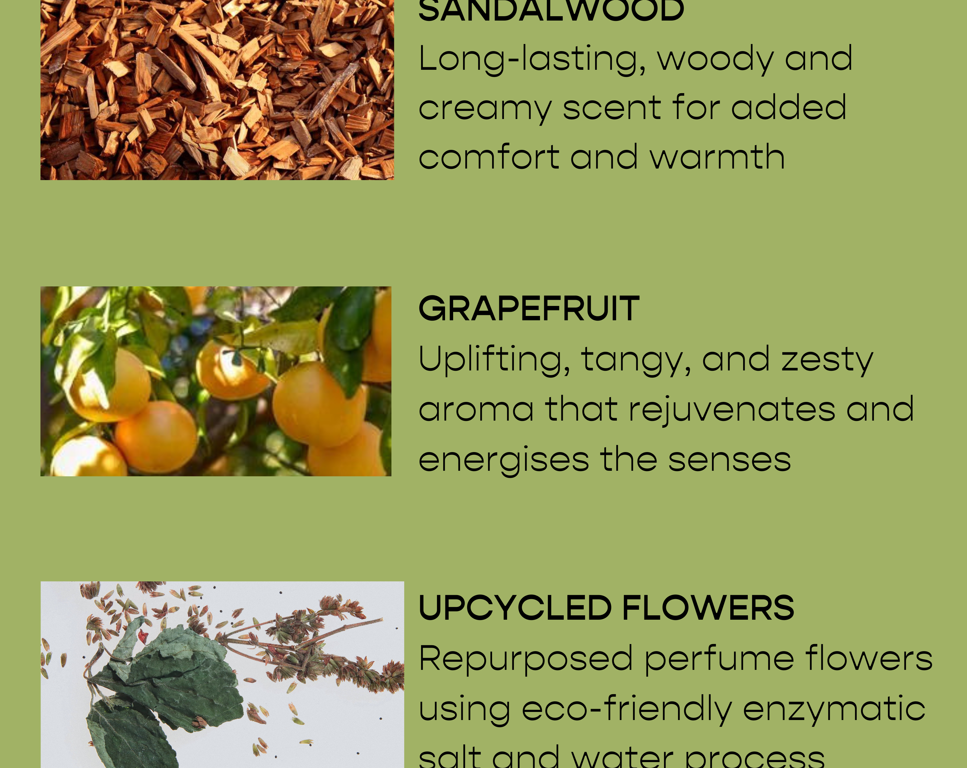 Herlum Hand & Body Wash Sandalwood & Grapefruit | 50ml 3
