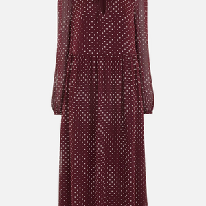 Whistles Spot Print Trapeze Midi Dress - Burgundy/ Multi 2