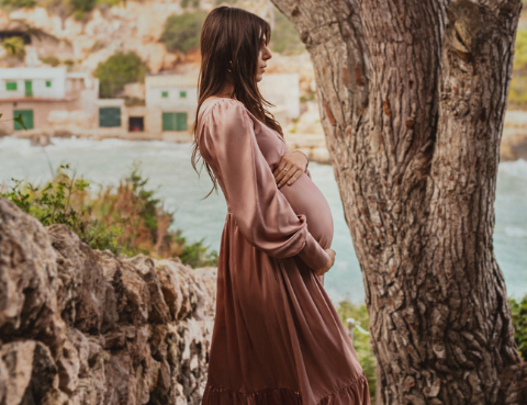 Bump & Milk Gabrielle Dress - Pink 1