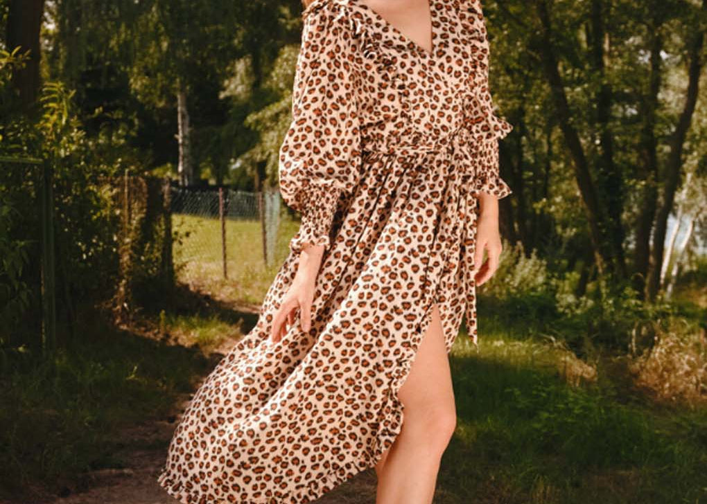 Erin Leopard Print Breastfeeding Dress