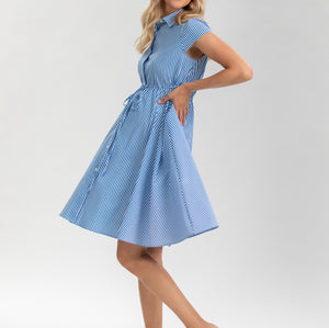 Pietro Brunelli Maternity Viola Sapphire Stripe Maternity Dress in Cotton 2