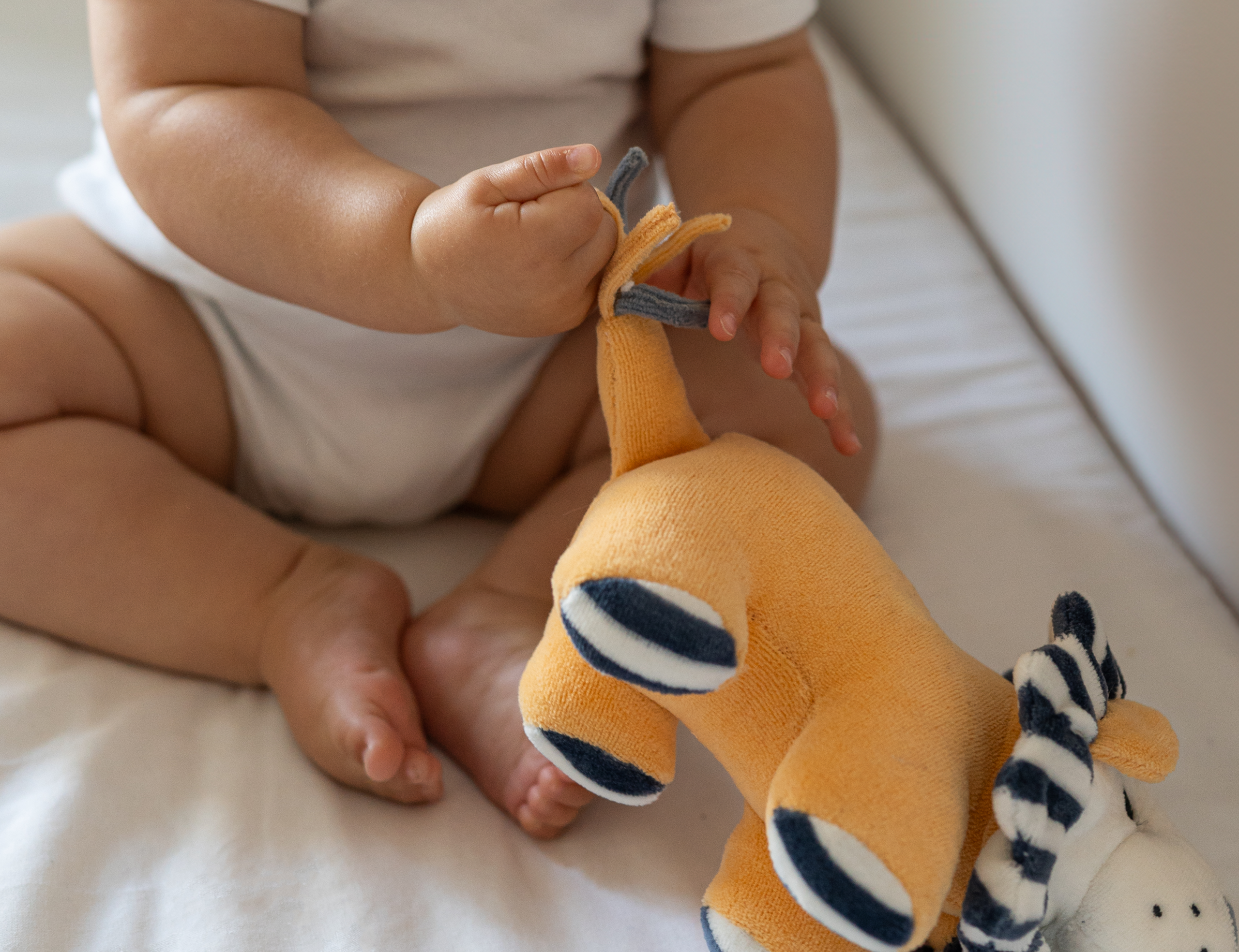 Pure Earth Collection Lion Sensory Toy 2