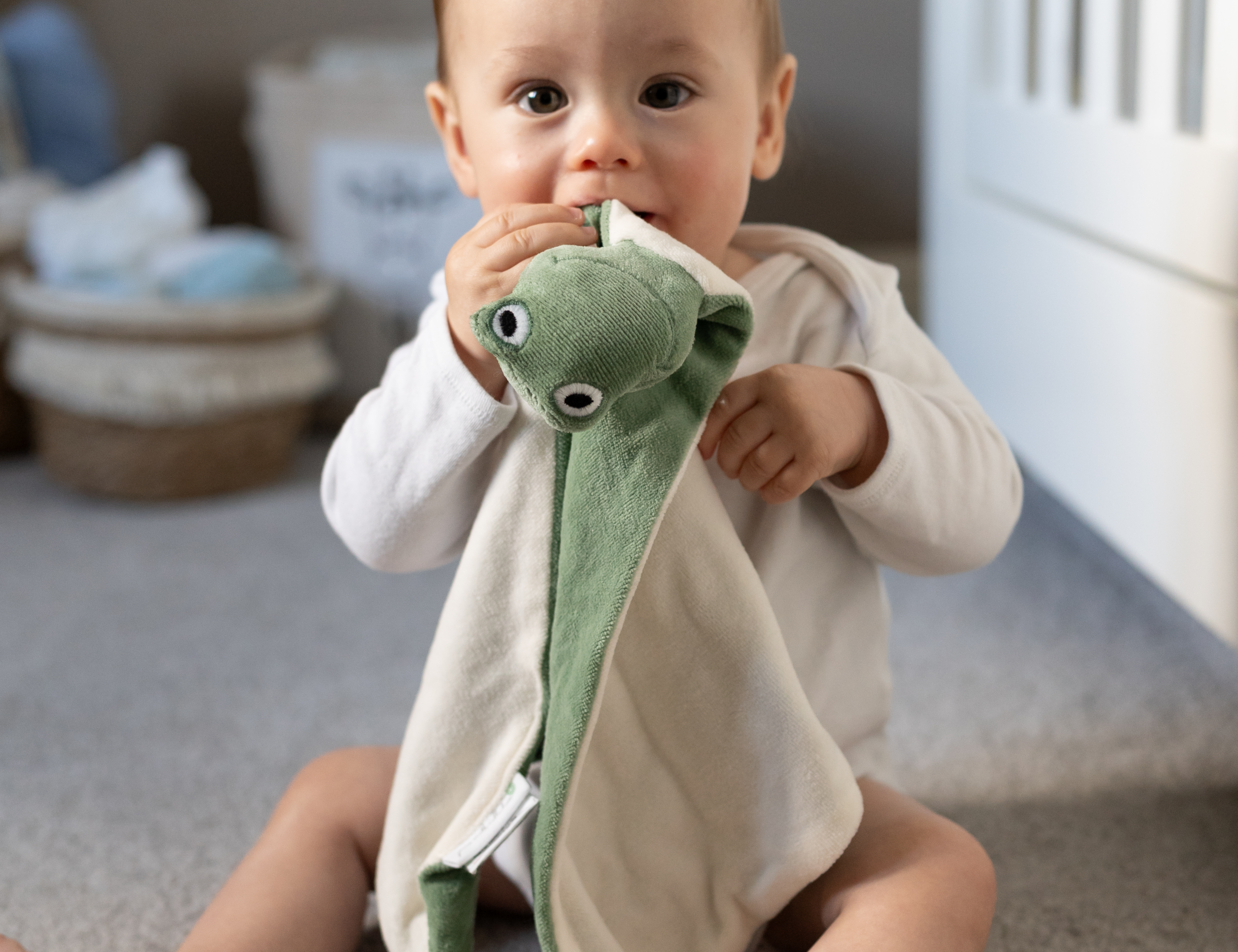 Pure Earth Collection Frog Comforter 1