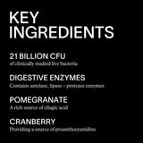 Artah Enhanced Synbiotic - live bacterial strains + digestive enzymes 4