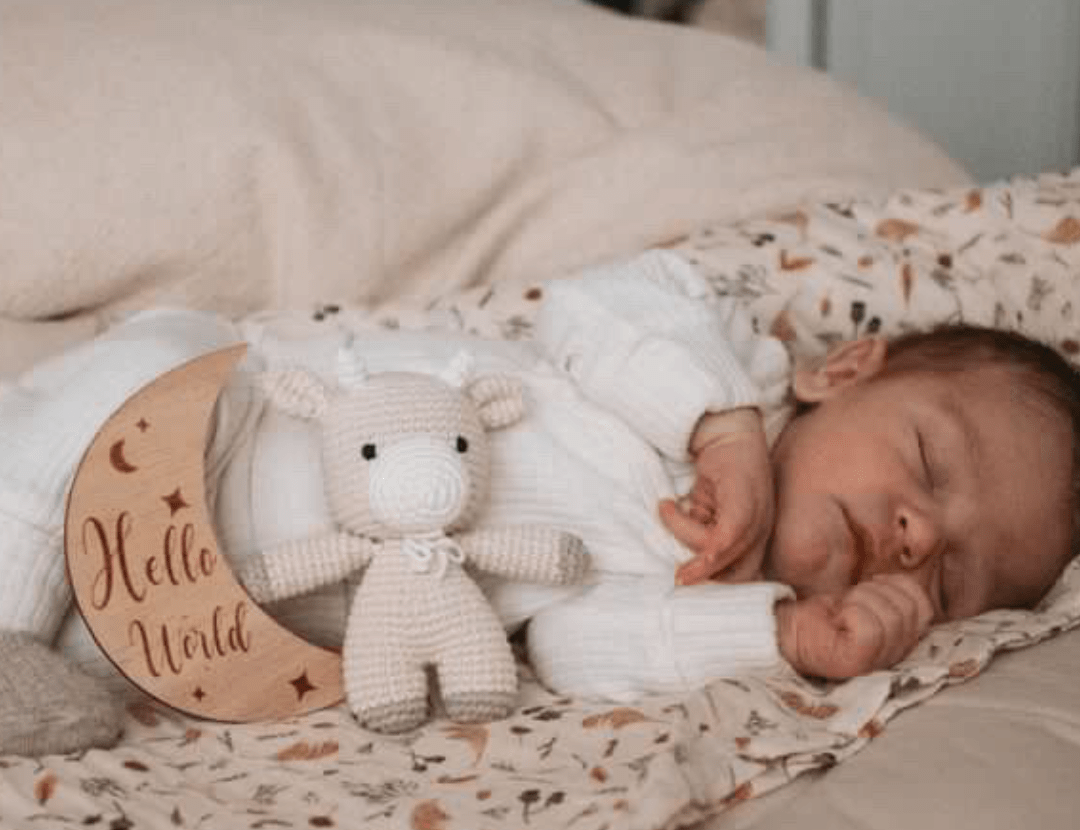 Bellamoon Wooden Month-by-Month Baby Milestone Set 1