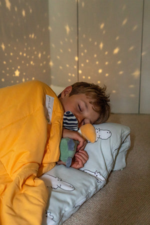 Pure Earth Collection Kids Travel Bed 7
