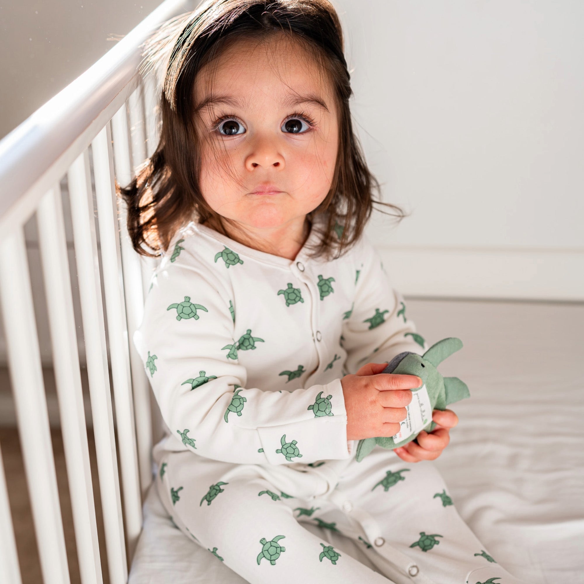 Pure Earth Collection Winter Sleepsuit With Padded Sleeves (2pk) - Turtle 7