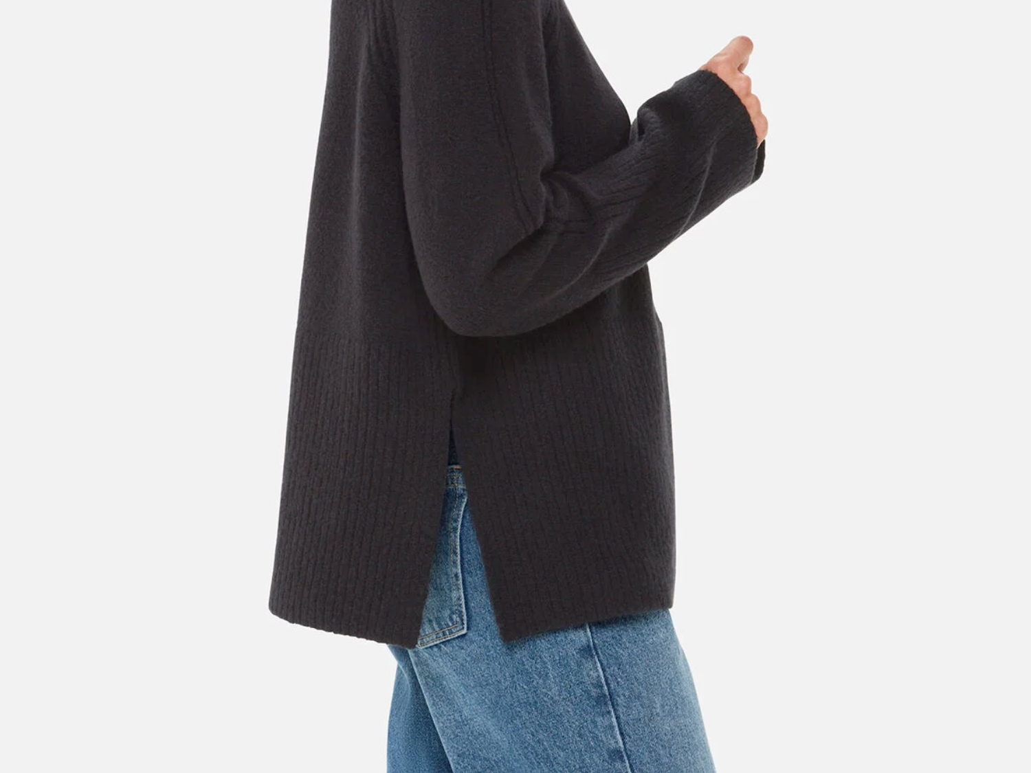 Whistles Textured Rib Detail Roll Neck 1