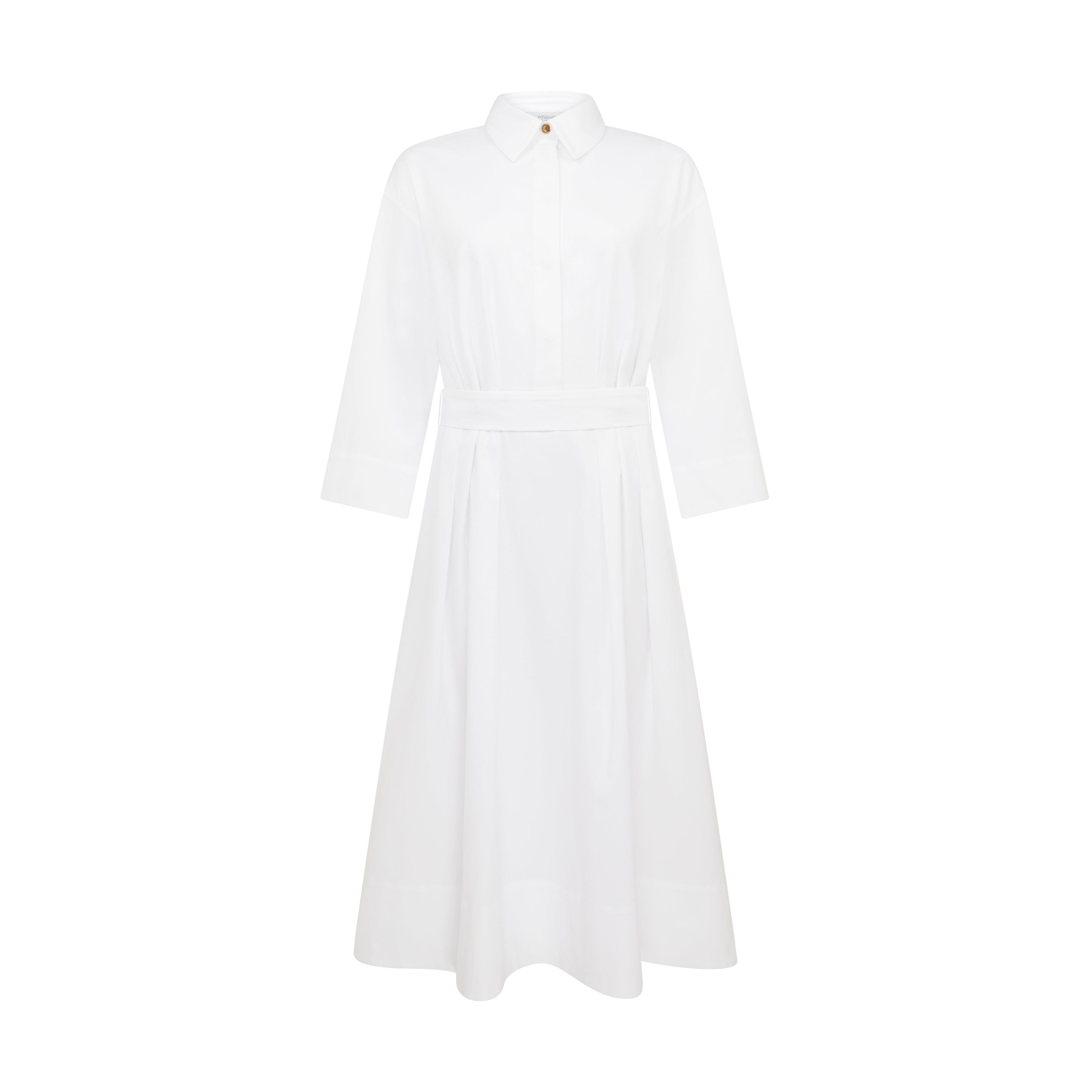 The Female Archetypes Adjustable Waist Dress 1