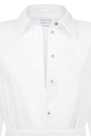 The Female Archetypes Adjustable Waist Dress 4