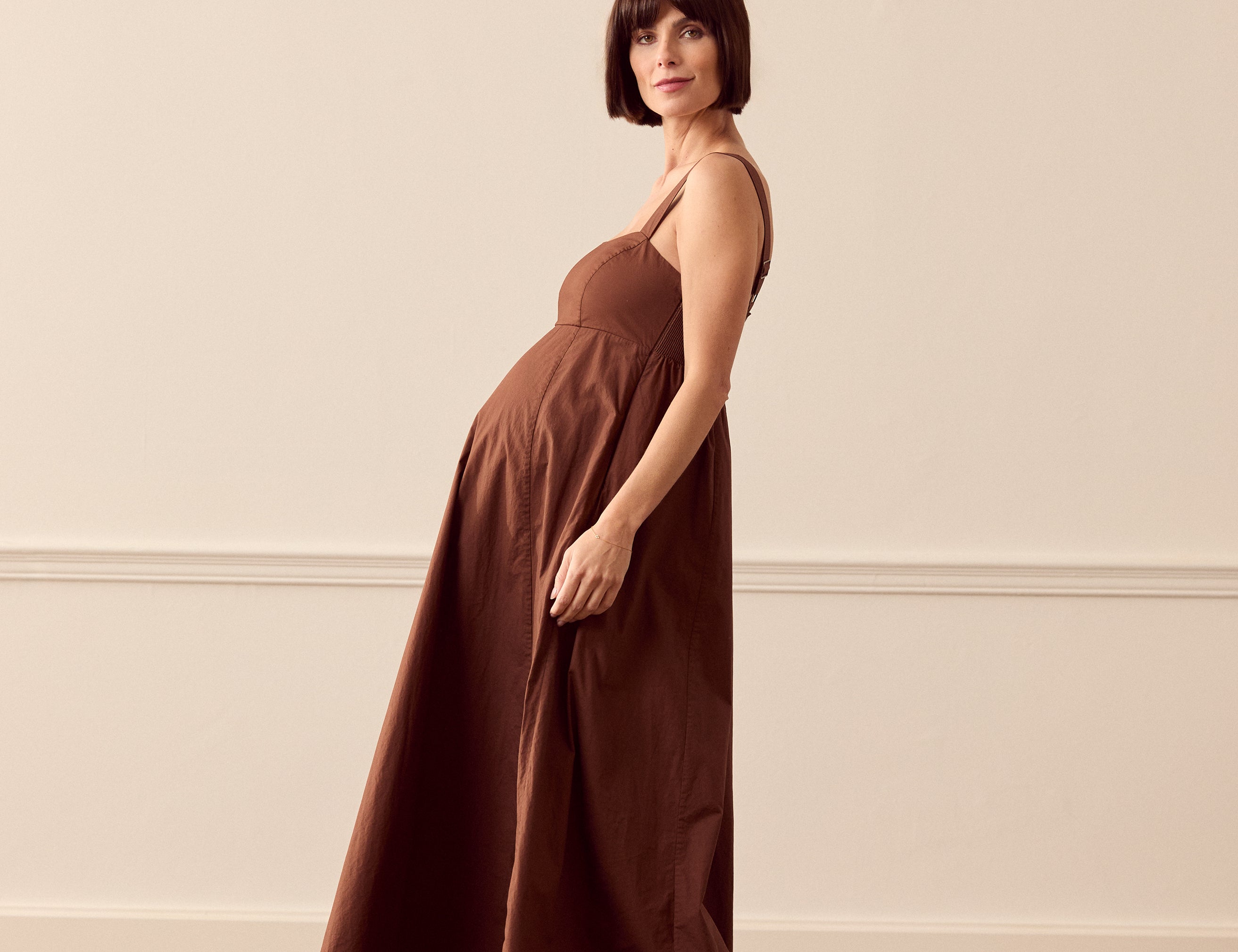 Whistles Anna Dress - Brown 2
