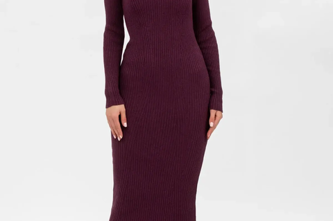 Pietro Brunelli Maternity Stella Fitted Dress in Bordeaux with Long Sleeves 1