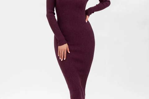 Pietro Brunelli Maternity Stella Fitted Dress in Bordeaux with Long Sleeves 2