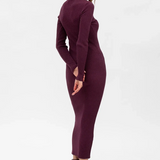 Pietro Brunelli Maternity Stella Fitted Dress in Bordeaux with Long Sleeves 4