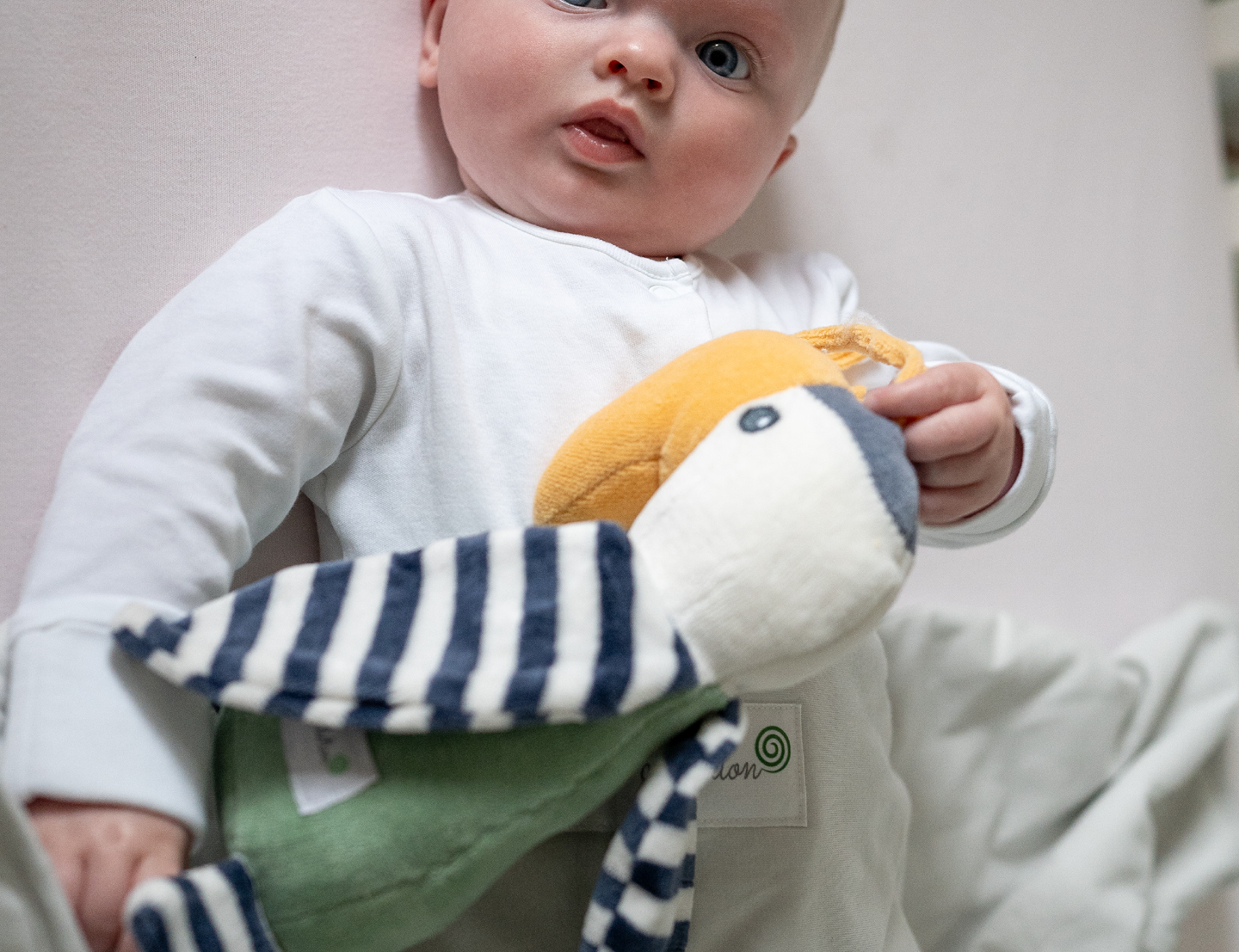 Pure Earth Collection Hornbill Sensory Toy 2