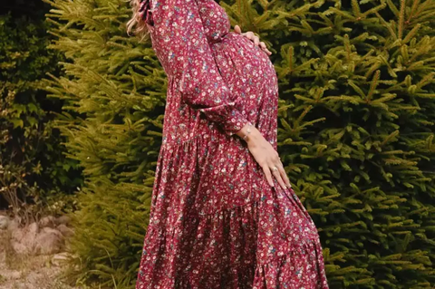 Bump & Milk Bump & Milk Willow Maxi Nursing Dress 3
