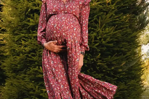 Bump & Milk Bump & Milk Willow Maxi Nursing Dress 4