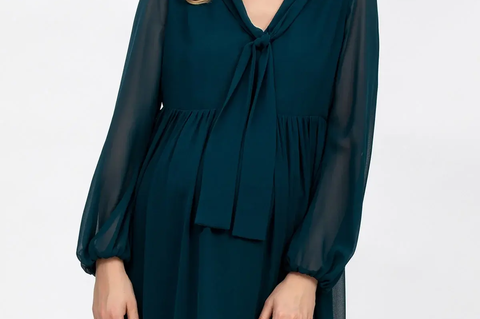 Pietro Brunelli Maternity Nova Green Maternity and Nursing Dress in Chiffon 1