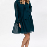 Pietro Brunelli Maternity Nova Green Maternity and Nursing Dress in Chiffon 2