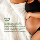 Myrtle and Maude Organic Morning Sickness Tea 4