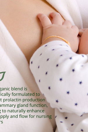 Myrtle and Maude Organic Breastfeeding Tea 3