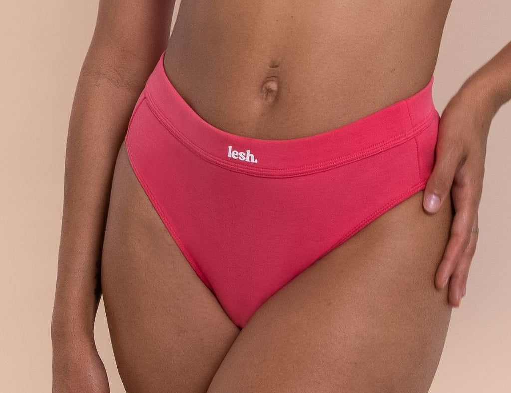 Lesh Postpartum Briefs 1