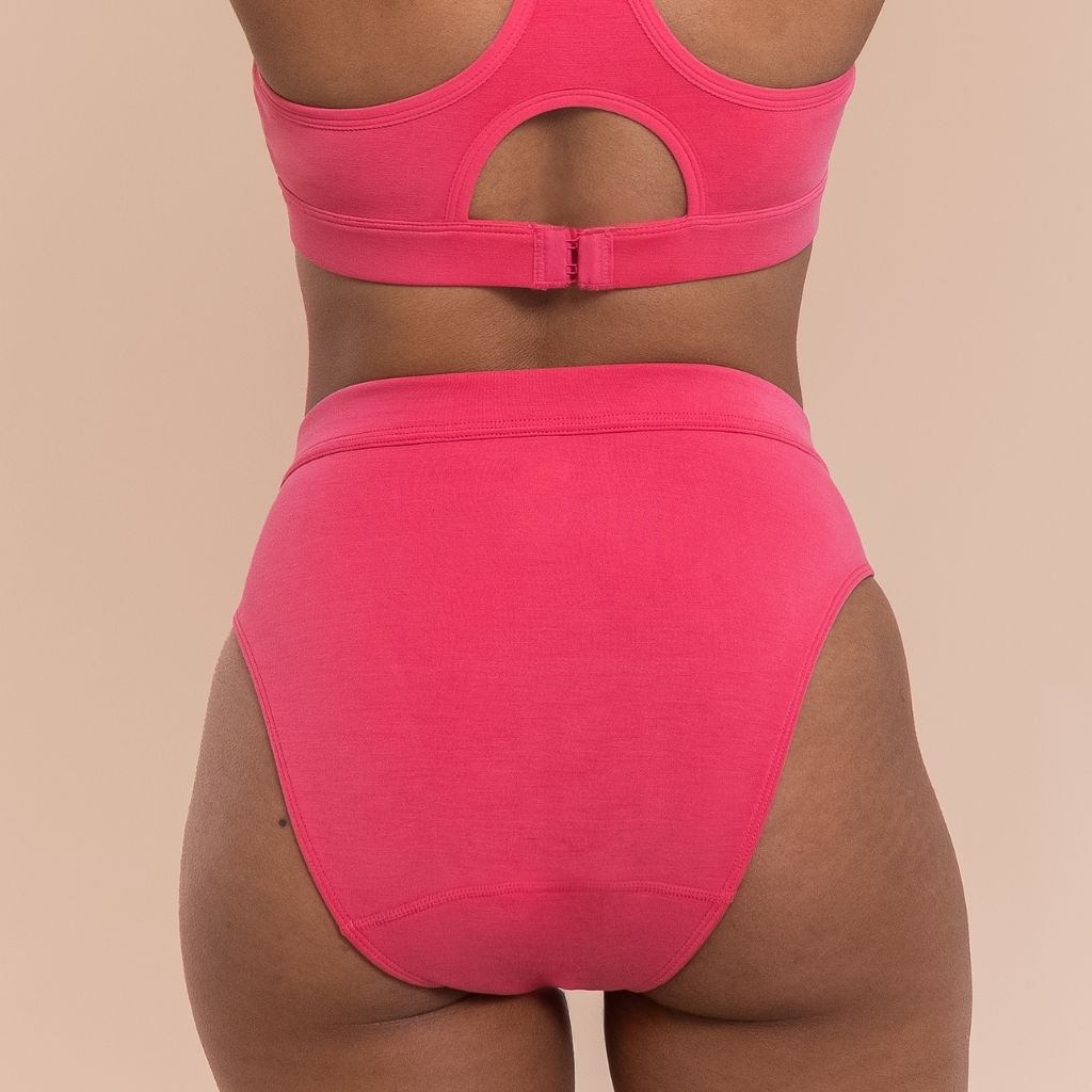 Lesh Postpartum Briefs 2