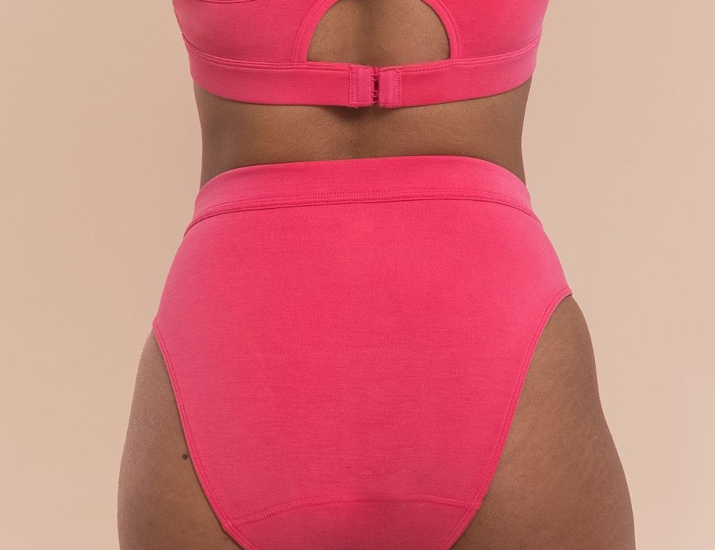 Lesh Postpartum Briefs 2