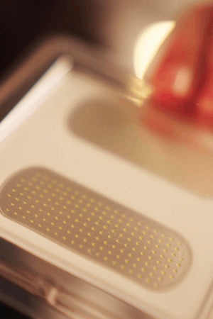 WholyMe Deep Relief Patch with Patented Microcone Technology 2