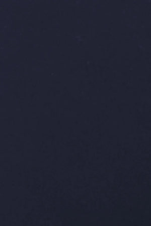 Solid dark blue color swatch