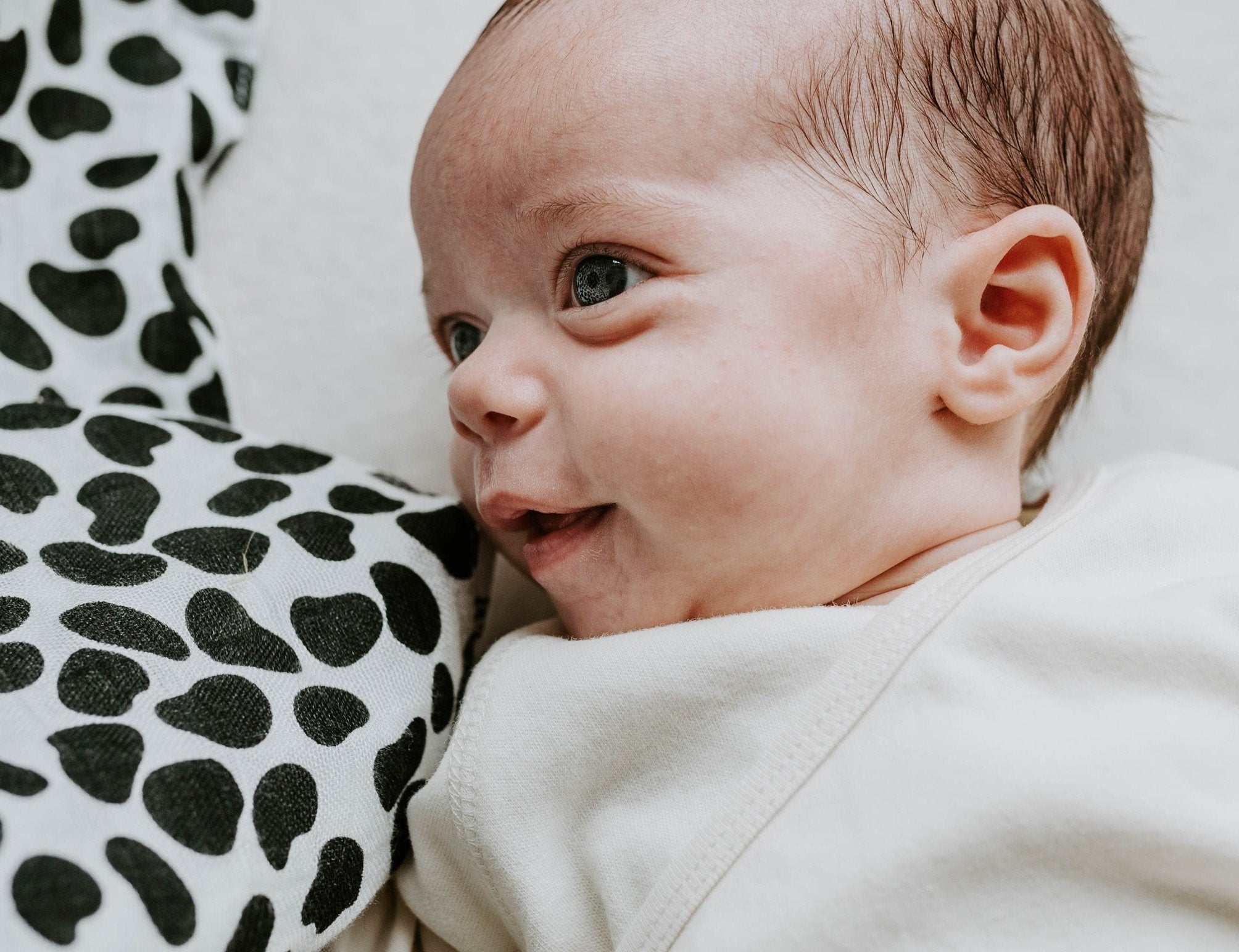 Etta Loves Animal Print Muslin 2 Pack 2