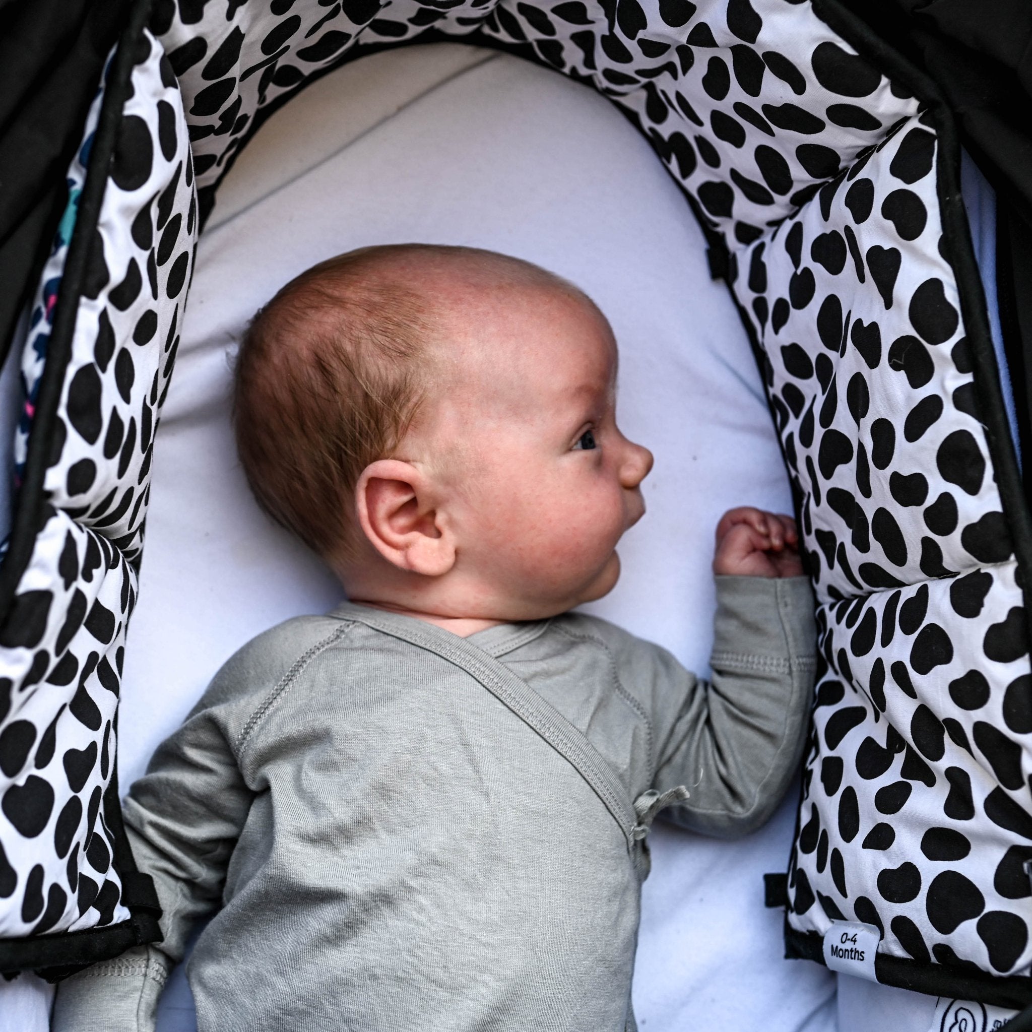 Etta Loves Animal Print Sensory Strip Reversible 5