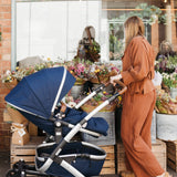 JOURNY The Daisy Trouser Mocha Stripe 11