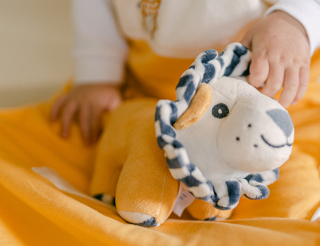 Pure Earth Collection Lion Sensory Toy 1