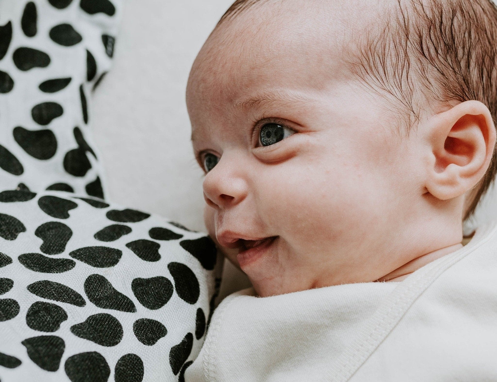 Etta Loves Animal Print Muslin 3 Pack 2