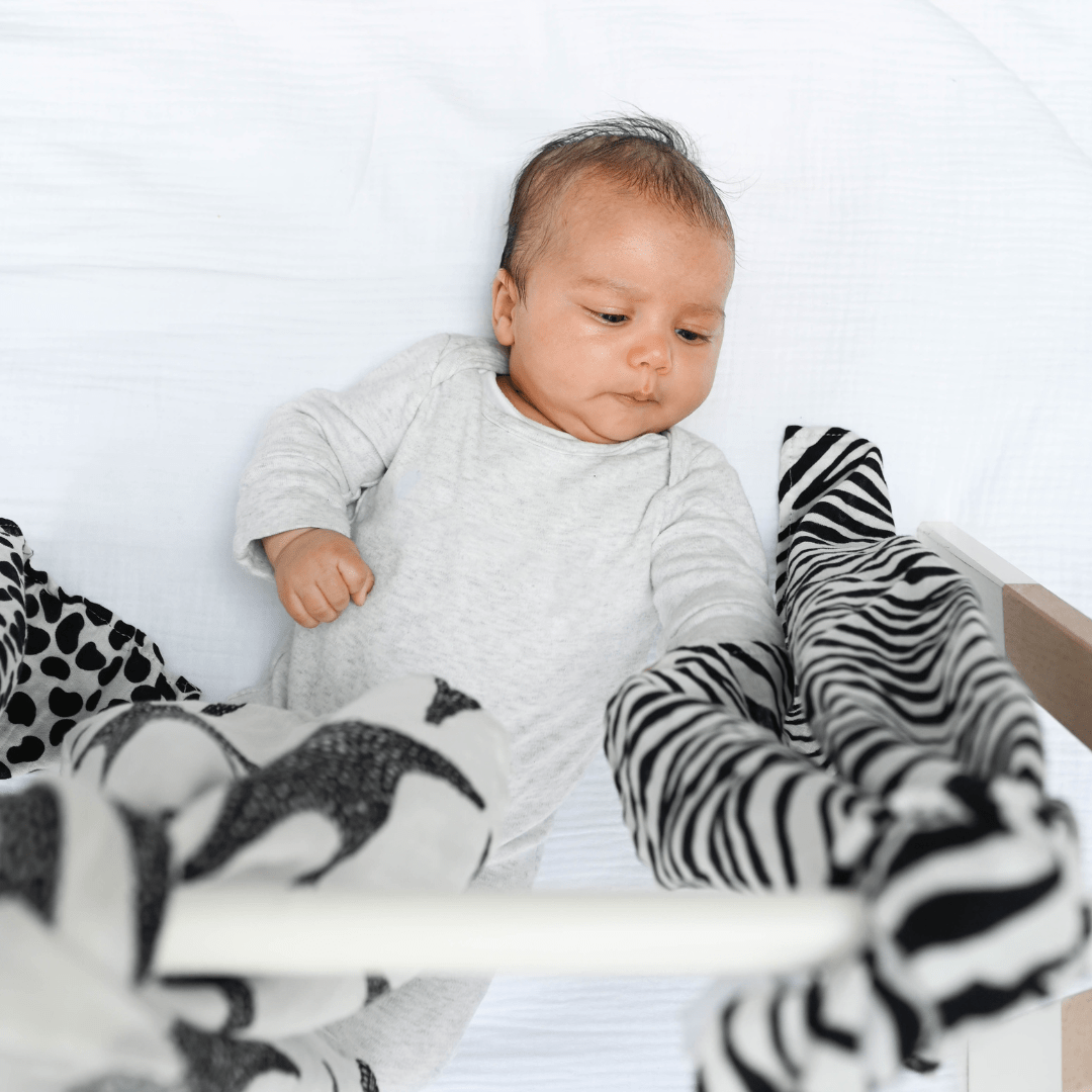 Etta Loves Animal Print Muslin 3 Pack 3