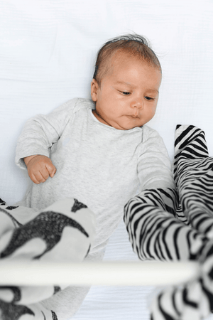 Etta Loves Animal Print Muslin 3 Pack 3