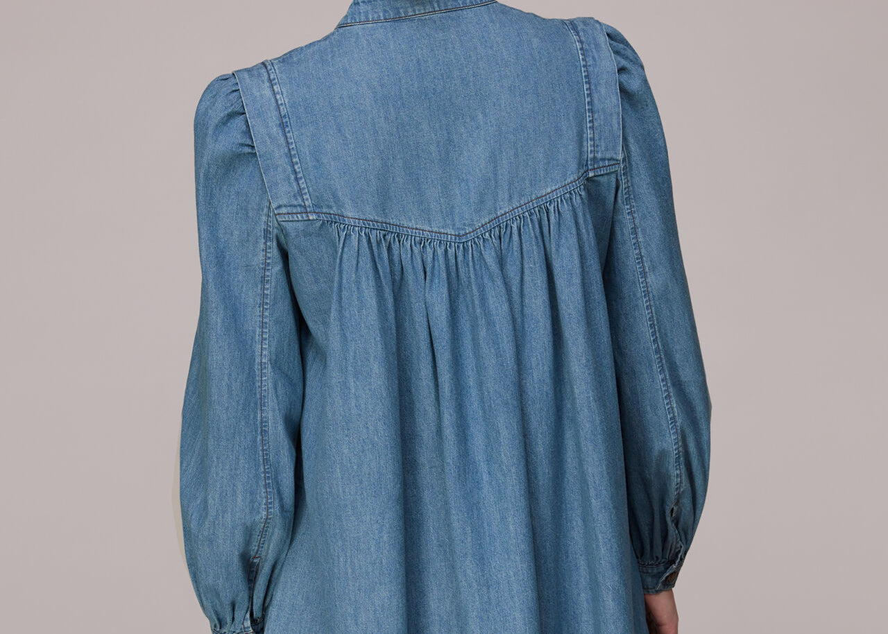 Whistles Chambray Denim Trapeze Dress Blue – For The Creators